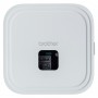 Brother PT-P910BT stampante per etichette (CD) Trasferimento termico 360 x 360 DPI Con cavo e senza cavo TZe (PTP910BT)