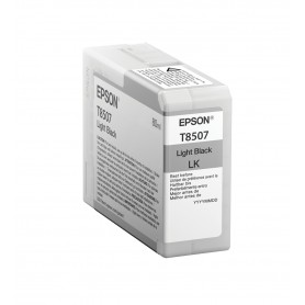 Epson Singlepack Light Black T850700 (C13T850700)