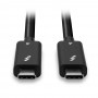 Lindy 31121 Cavo Thunderbolt 2 m 40 Gbit/s Nero