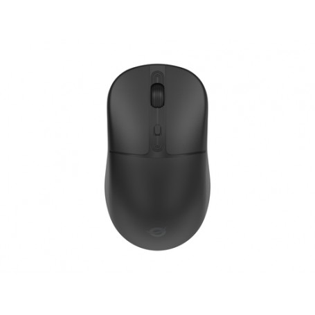 Conceptronic LORCAN04B mouse Ufficio Ambidestro RF senza fili + Bluetooth Ottico 1600 DPI