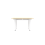 DEZCTOP DESK BIFROST 120 OAK DK-BFTET12-OK1 DK-BFTUTFM-SW1 pannello opziona
