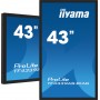 iiyama TF4339AS-B1AG visualizzatore di messaggi Pannello piatto per segnaletica digitale 108 cm (42.5") LED 500 cd/m² 4K Ultra 