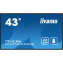 iiyama ProLite Pannello piatto per segnaletica digitale 108 cm (42.5") LCD Wi-Fi 500 cd/m² 4K Ultra HD Nero Processore integrat
