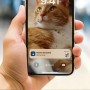 Philips 5000 series Distributore di cibo smart con telecamera Pet Series PAW5320/02