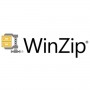 WINZIP ENT MAINT (1YR) ML 2-49