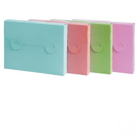 VALIGETTA PASTELLO 38X29 D5 PP ASS