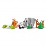 FAMIGLIE DI ANIMALI 3 IN 1