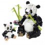 FAMIGLIE DI ANIMALI: PANDA