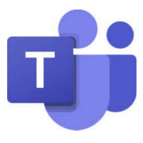 TEAMS PHONE WITH CALLING PLAN ZONE2