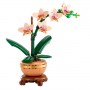 MINI-ORCHIDEA