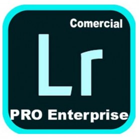 LIGHTR ED4 ENT ML NEW GOV