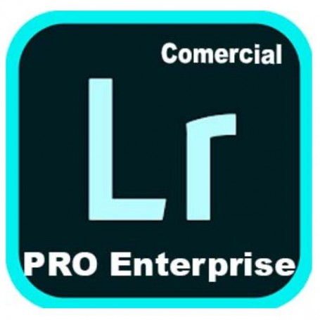 LIGHTR ED4 ENT ML NEW GOV