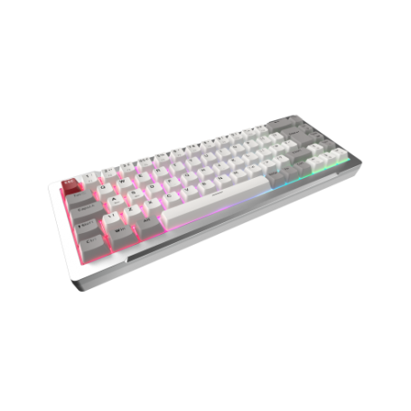 RAIJINTEK TASTIERA GAMING MGA-68 SILVER ALLUMINIO ARGB MAGNETIC SWITCH