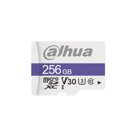 Dahua Technology C100 256 GB MicroSDXC UHS Classe 10