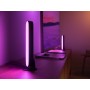 Philips Hue White and Color ambiance Barra luminosa Hue Play, confezione doppia (915005733901)