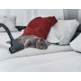 Hoover Breeze BR32PET 011 2 L A cilindro Secco 550 W Senza sacchetto (39002173)