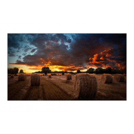 Samsung LH46VMBUBGBXEN espositore video da parete LCD Interno