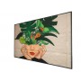 MONITOR 65 D-LINE  UHD  24/7 (65BDL4511D/00)