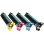 Epson Fotoconduttore Giallo (C13S051175)