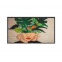 Philips 43BDL4550D/00 visualizzatore di messaggi Pannello piatto per segnaletica digitale 108 cm (42.5") IPS 4K  (43BDL4550D/00)