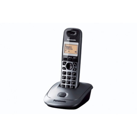 Panasonic KX-TG2511 Telefono DECT Identificatore di chiamata Titanio (KX-TG2511JTM)