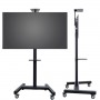CARRELLO VESA 800X600 (OM07147)
