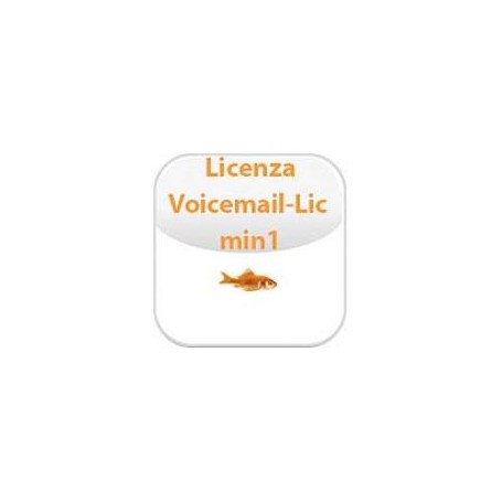 VOICEMAIL LICENSE FOR 1 PORT (2 - (02-00041-002)
