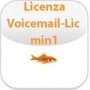 VOICEMAIL LICENSE FOR 1 PORT (2 - (02-00041-002)