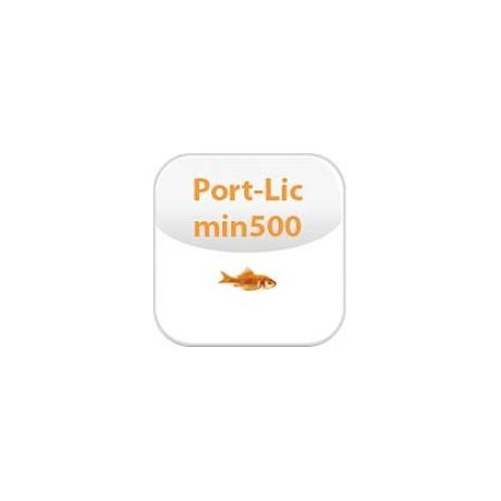 LICENSE FOR 1 PBX PORT (501 - 1000 (02-00039-003)