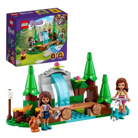 LA CASCATA NEL BOSCO (41677)