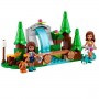 LA CASCATA NEL BOSCO (41677)