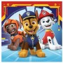 PAW PATROL - 3X49PZ (05048)