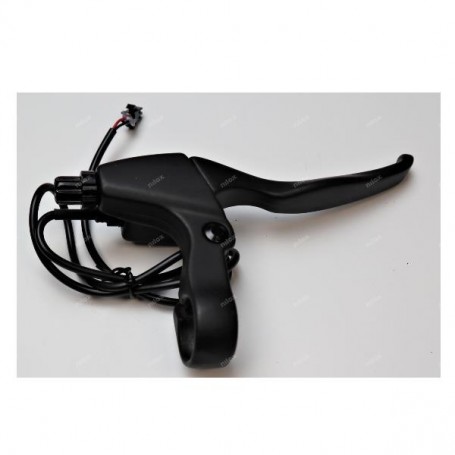 REAR BRAKE LEVER J5 NAT GEO (ZM9SPJ50019)