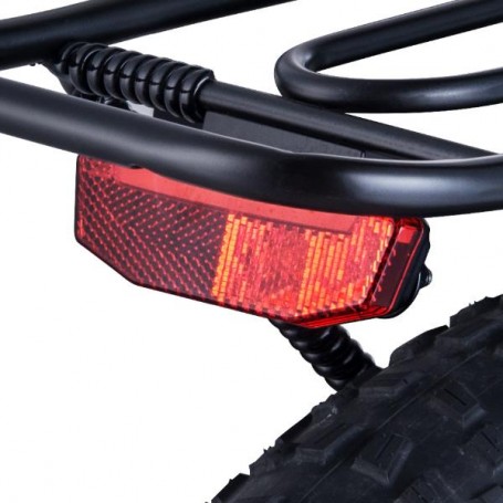 REAR LIGHTS X8 BATTERIES (ZM9SPX80034)