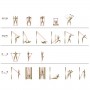 TONE PLUS BARRA PILATES + ELASTICI (813HR)