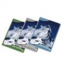 CF20 BLOCCHI CERVINO A6 (02119205M)