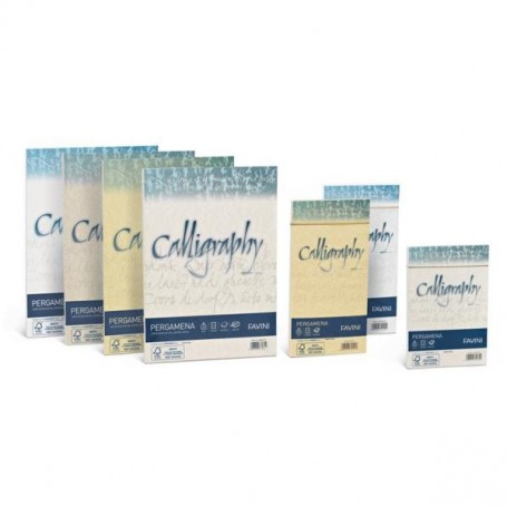 Favini CF50 FOGLI PERGAMENA A4 90G BIANCO Foglio d'arte (A690204)