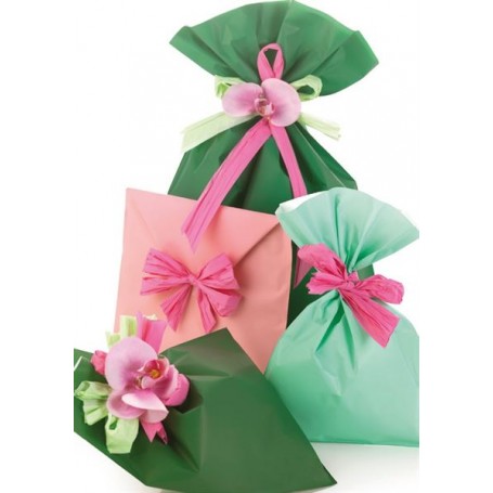 CF100BUSTE FDOPIENO OPACO ASS 20X35 (UD805PRRK2O00B)