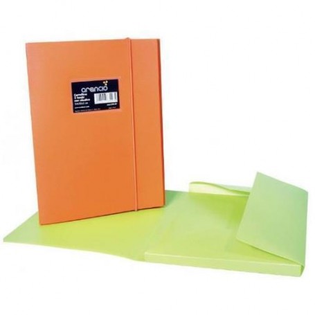 CARTELLINA C/ELAST. D.2 CM.COL.ASS. (330-ASS)