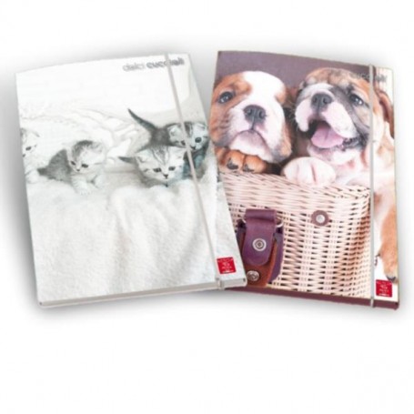 CF6 CARTELLE 3 LEMBI FANT. CUCCIOLI (02308163L)