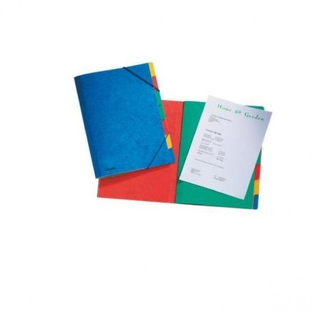 RAINBOW CARTEL.6 DIVISO 7 SCOMPARTI (55570)