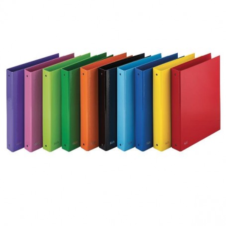 CF10 RACCOGL. SPRINT 22X30 ASSORTI (400152300)