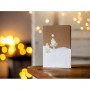 CF2 FF ALBERI DI NATALE (52310)