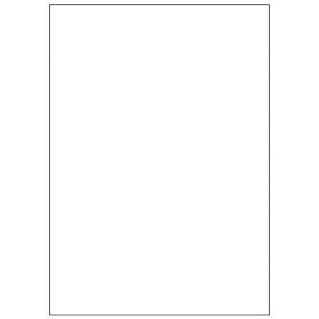 CF100 ETICHETTE 210X297 (LP4MS-210297)