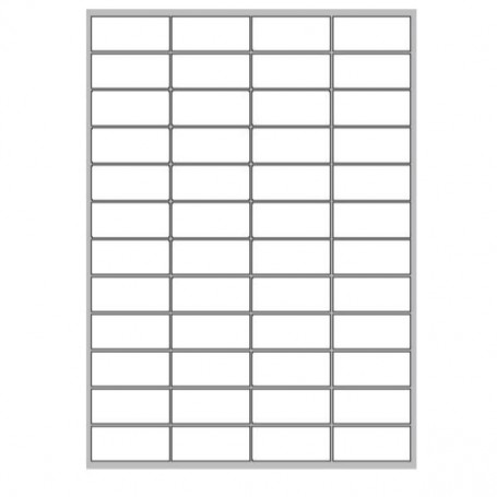 CF4800 ETICHETTE 52X24MM 100FF (LP4MS-5224)