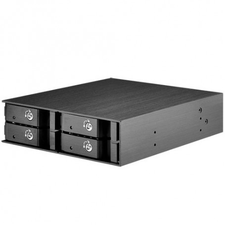 Silverstone FS204 array di dischi Nero (SST-FS204B)