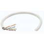 Intellinet 334136 cavo di rete Grigio 305 m Cat5e U/UTP (UTP) (334136)