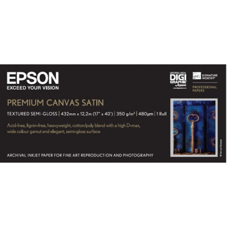 Epson Premium, 17" x 12.2m, 350g/m² carta fotografica Bianco Satinata (C13S041846)
