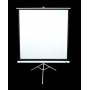 Elite Screens Tripod schermo per proiettore 2,87 m (113") 1:1 (T113NWS1)