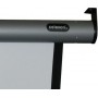 Celexon 1090113 schermo per proiettore 4:3 (1090113)